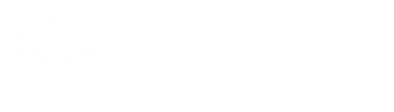 STEMS Group Logo